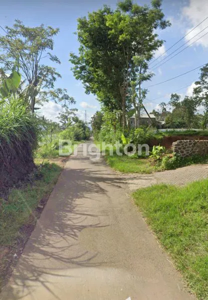 image GUDANG DAN TERNAK AYAM PETELUR KARANGPLOSO MALANG (4)