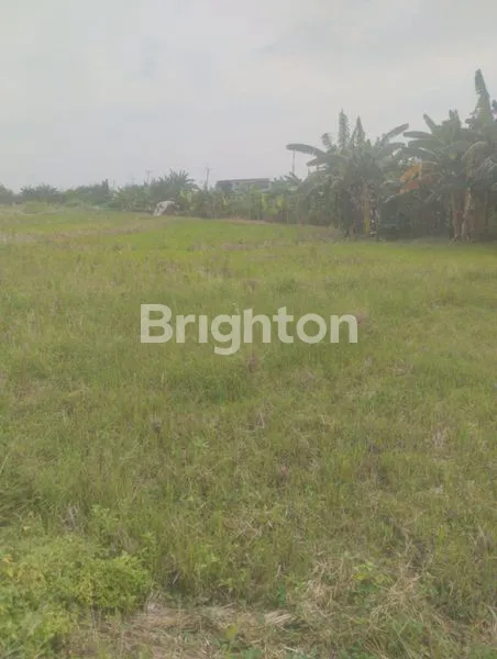 image DIJUAL TANAH DI TAMBUN ZONA KUNING STRATEGIS DAN DEKAT DENGAN KOTA (2)