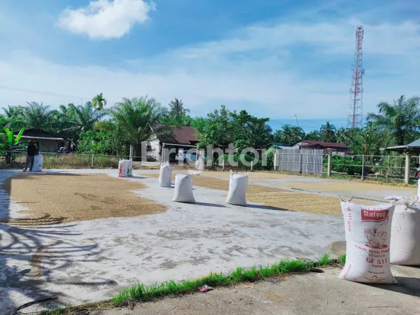 image DIJUAL USAHA KILANG PADI - ROKAN HILIR (1)