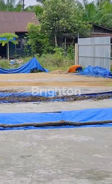 image DIJUAL USAHA KILANG PADI - ROKAN HILIR (4)