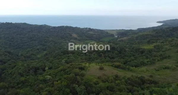 image TANAH 17 HEKTAR RIVER VIEW LOKASI DESA MAMUDU SUMBA BARAT NTT (2)