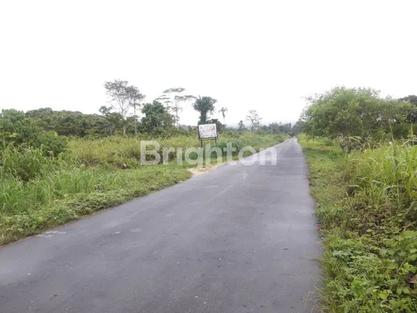 TANAH LUAS 2HA, SHM, STRATEGIS DI KEEROM