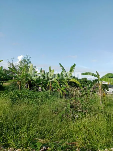 image TANAH DISEWAKAN JANGKA PANJANG DI UMALAS – LINGKUNGAN VILLA EXPAT\\N (1)
