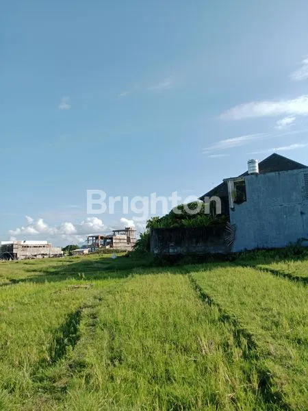 image TANAH DISEWAKAN JANGKA PANJANG DI UMALAS – LINGKUNGAN VILLA EXPAT\\N (2)