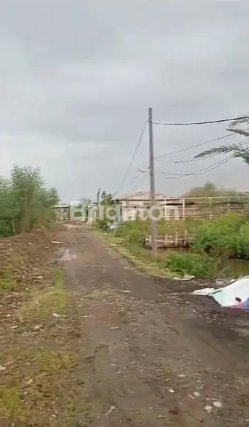 image MURAH TANAH SIAP BANGUN DI WISMA TIRTO AGUNG SURABAYA (1)