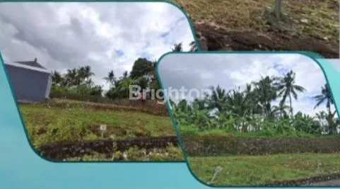 image TANAH KAPLING SIAP BANGUN DI MAMBANG TENGAH SELEMADEG TIMUR TABANAN (4)