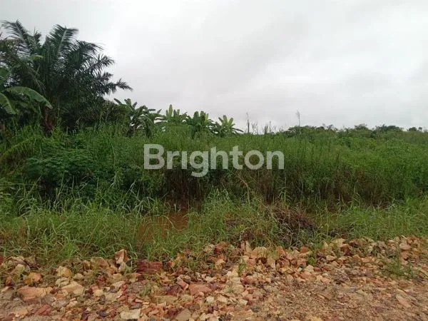 image TANAH DI TELUK LINGGA SANGATTA (2)