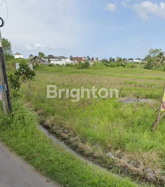 image TANAH ASPEK PERTANIAN DI  MUNGGU (3)