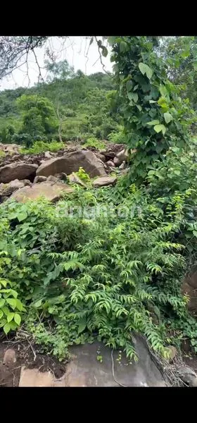 image DIJUAL TANAH LOKASI PREMIUM – AKSES MUDAH & NILAI TINGGI (3)