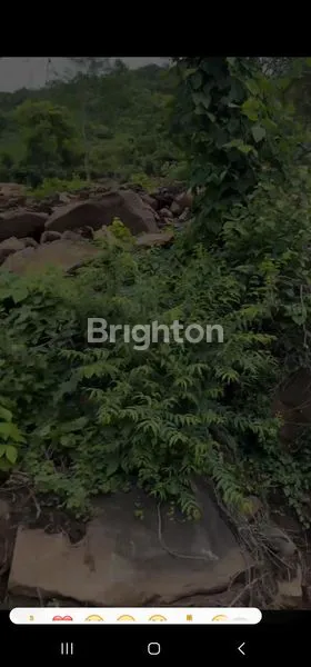 image DIJUAL TANAH LOKASI PREMIUM – AKSES MUDAH & NILAI TINGGI (1)