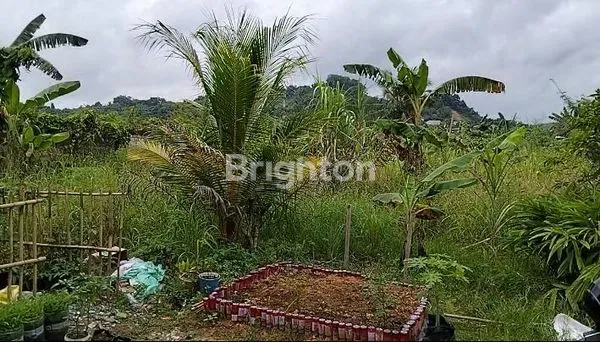 image TANAH STRATEGIS DEKAT BIG MALL SAMARINDA (1)