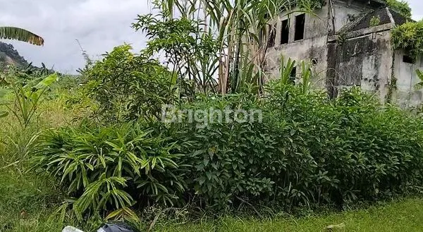 image TANAH STRATEGIS DEKAT BIG MALL SAMARINDA (2)