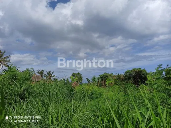 image TANAH STRATEGIS DEKAT PANTAI SABA DAN PERING BALI GIANYAR BLAH BATU (1)