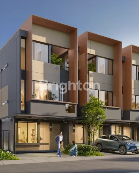 image GOLDTOPS ALPHA LIVIN  (1)