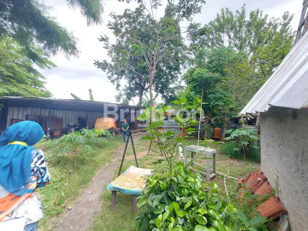 image DIJUAL TANAH 2000M² BONUS BANGUNAN DIATASNYA, REMPOA - CIPUTAT\NLOKASI STRATEGIS COCOK UNTUK DIBANGUN KOST-KOSTAN MAUPUN USAHA RESTO. (4)