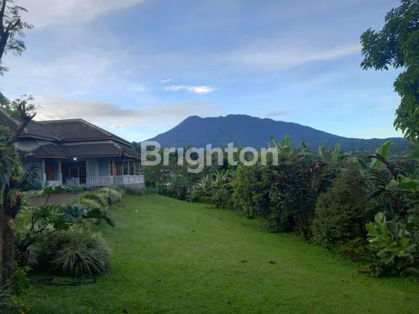image VILLA DI PUNCAK BOGOR MASIH PRODUKTIF , DIJUAL SEGERA  (1)