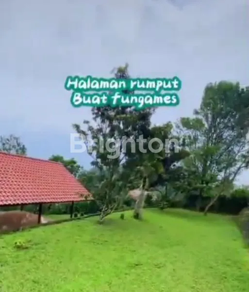 image VILLA DI PUNCAK BOGOR MASIH PRODUKTIF , DIJUAL SEGERA  (8)