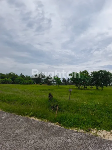 image TANAH KAVLING SUPER CANTIK VIEW SAWAH DAN PANTAI DI BELONG, TABANAN (2)