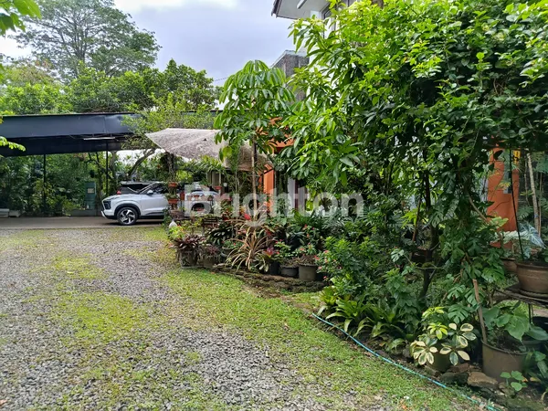 image LAHAN HIJAU ASRI SELUAS 1000 M² PLUS 2 UNIT RUMAH DI ANDARA (1)