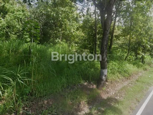 image *LAHAN TANAH PINGGIR JALAN DEKAT WADUK GAJAHMUNGKUR WONOGIRI* (4)