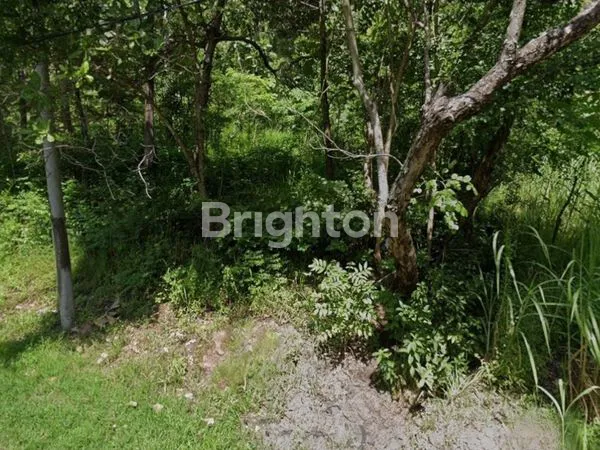 image *LAHAN TANAH PINGGIR JALAN DEKAT WADUK GAJAHMUNGKUR WONOGIRI* (5)