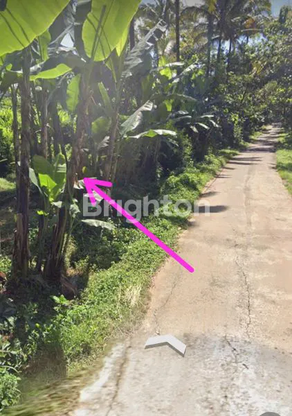 image TANAH PEKARANGAN PINGGIR JALAN JETING, 7 MENIT KE TELAGA KUSUMA AGROWISATA WATERPARK, (1)