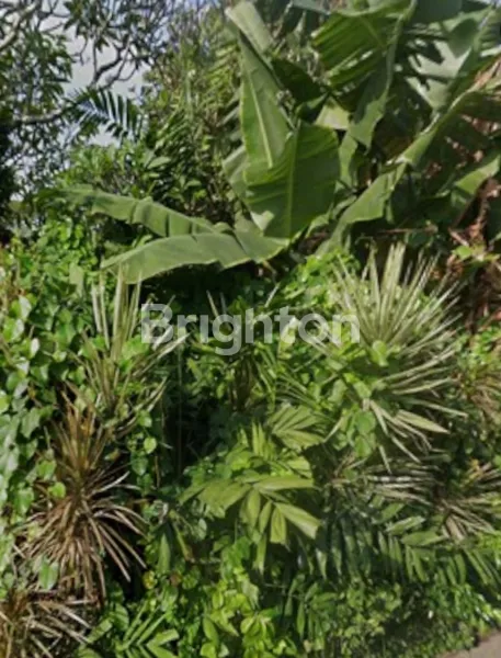 image FOR LEASE 20 ARE LAND IN SANUR (20 + 10 YEAR EXTENSION) (245V) (3)