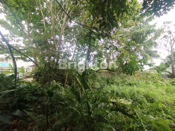 image TANAH LUAS 456M² DI JL. KEBANGKITAN NASIONAL (5)