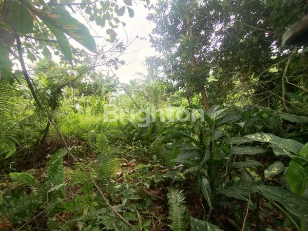 image TANAH LUAS 456M² DI JL. KEBANGKITAN NASIONAL (6)