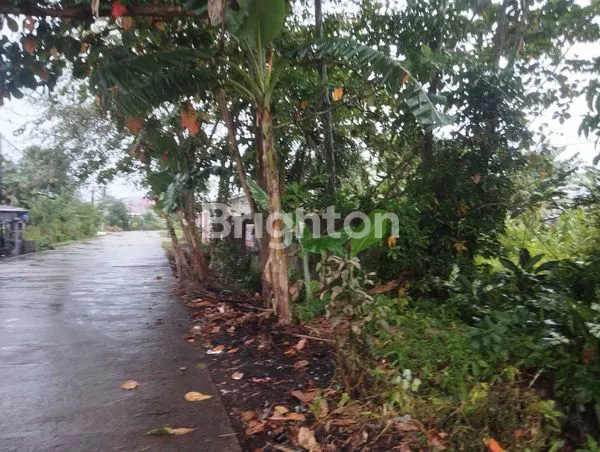 image TANAH LUAS 456M² DI JL. KEBANGKITAN NASIONAL (8)