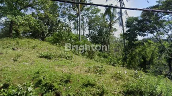 image FOR SALE LAND IN GUNUNG SALAK TABANAN (244V) (1)