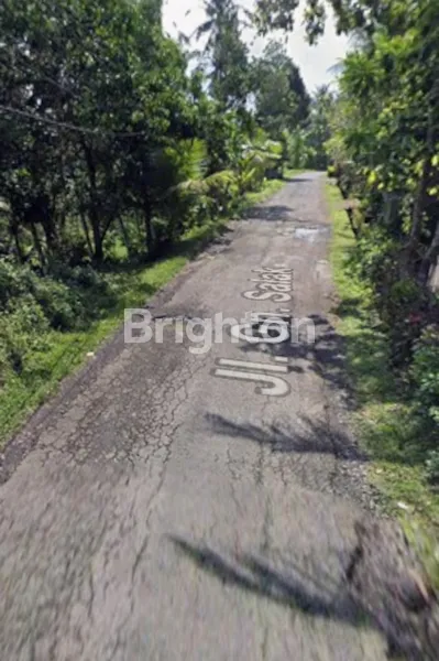 image FOR SALE LAND IN GUNUNG SALAK TABANAN (244V) (6)