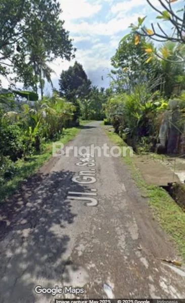 image FOR SALE LAND IN GUNUNG SALAK TABANAN (244V) (7)