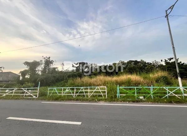 image TANAH SHM 973M² DI JL HARMONIKA BARU MEDAN (3)