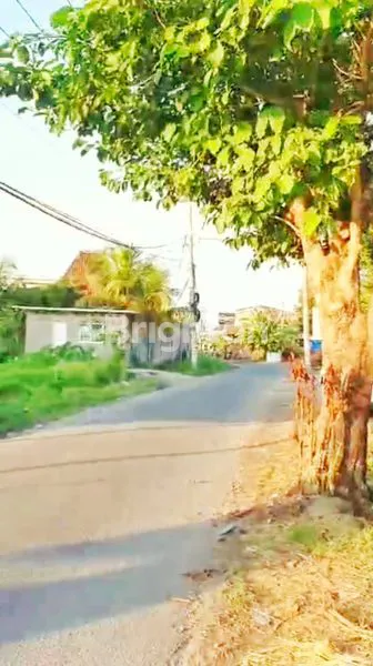 image TANAH 3.700 M2 DI MUNGGU - LOKASI STRATEGIS & POTENSI  INVESTASI TERBAIK (5)