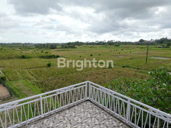 image DISEWAKAN RUMAH 3 KAMAR ASRI OPEN SPACE DI DESA BAHA MENGWI BADUNG (8)