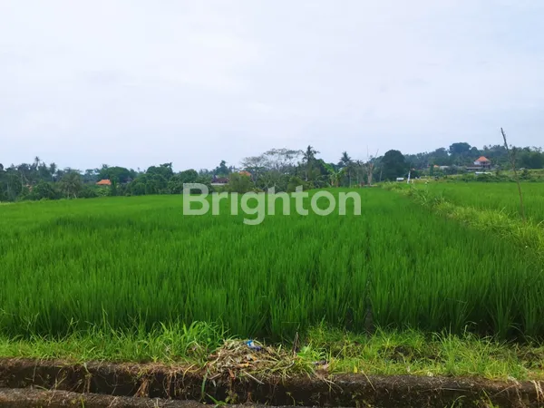 image TANAH SAWAH 44 ARE DI KLUNGKUNG – INVESTASI BALI HARGA WARAS, PROSPEK JELAS! (2)