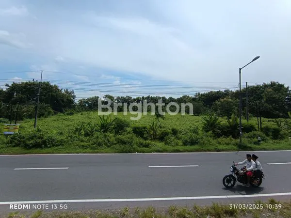 TANAH RAYA GEDEG  MOJOKERTO    2 HEKTAR MOJOKERTO