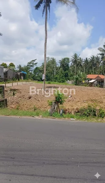 TANAH LUAS DIPINGGIR JALAN UTAMA DILOKASI STRATEGIS PINGGIRAN KOTA UBUD
