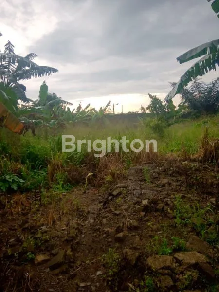 TANAH LUAS DAN STRATEGIS DI PINGGIR JALAN RAYA PARUNG BOGOR