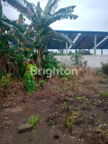 image TANAH LUAS DAN STRATEGIS DI PINGGIR JALAN RAYA PARUNG BOGOR (3)