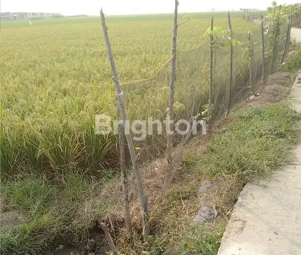 image LAHAN STRATEGIS UNTUK PERUMAHAN & INVESTASI (3)