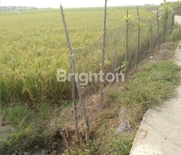 image LAHAN STRATEGIS UNTUK PERUMAHAN & INVESTASI (1)