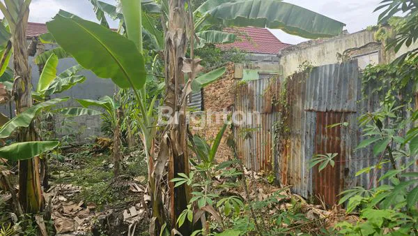 image LAHAN STRATEGIS 786M², BONUS 2 RUMAH DI PUSAT KOTA PEKANBARU (4)