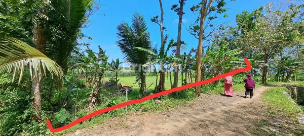 image DIJUAL TANAH STRATEGIS DEKAT BANDARA YIA JOGJAKARTA (2)