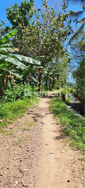 image DIJUAL TANAH STRATEGIS DEKAT BANDARA YIA JOGJAKARTA (3)