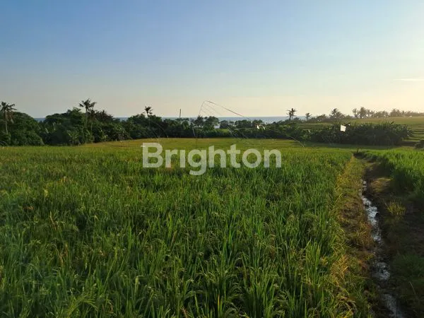 image TANAH INVESTASI PREMIUM – PANTAI PASUT, TABANAN (2)