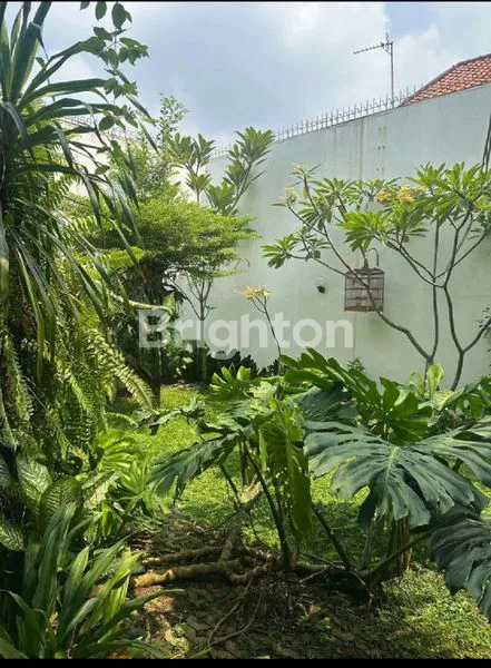 image RUMAH MEWAH 4 LANTAI + ROOFTOP DI PULOASEM TIMUR – STRATEGIS, LUAS, DAN SIAP HUNI (3)