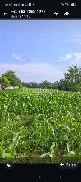 image TANAH DI JALAN MEDAN -TANJUNG MORAWA (7)