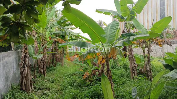 image DI JUAL TANAH DI PINGGIR JALAN RAYA LEGOK, TGR (2)